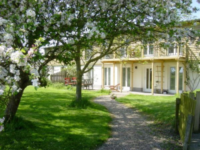 Süderhever
